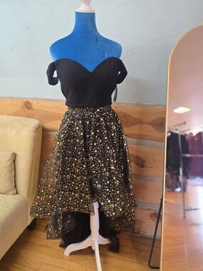 Alyce Paris 2 Piece Black High-Low Star Mesh Skirt with Gold Stars